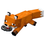recommended.png